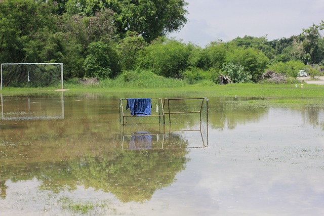 表现往往显 表现往往显