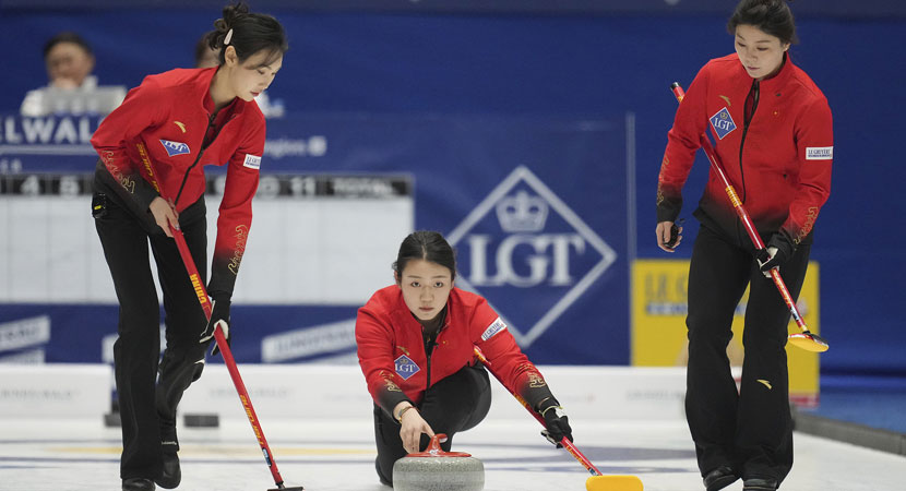 找到了适合 找到了适合