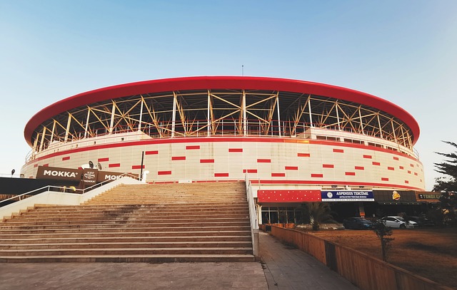 激情的盛宴 激情的盛宴