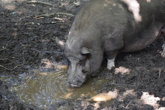 回顧以往的 回顧以往的