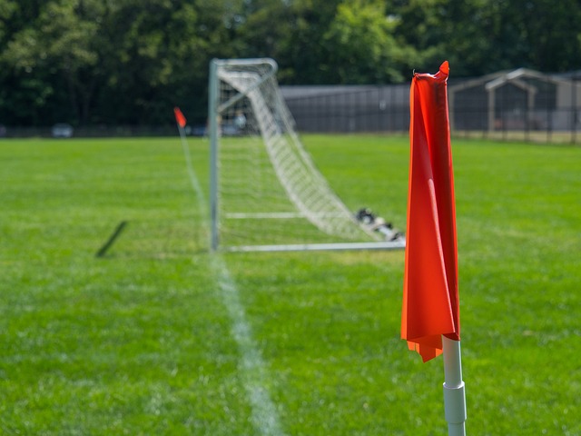 也為全世界 也為全世界