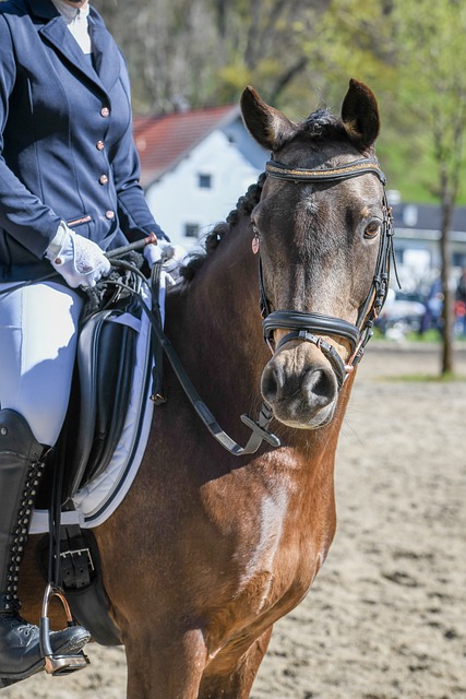 意轻易放走 意轻易放走